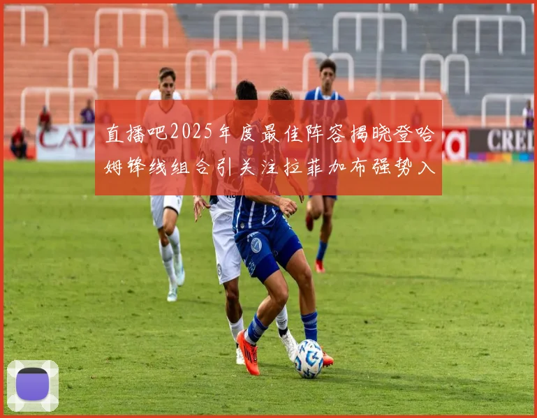 直播吧2025年度最佳阵容揭晓登哈姆锋线组合引关注拉菲加布强势入选