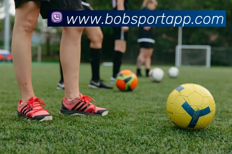 BOB体育平台生态图